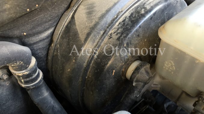 Korondo Sport Çıkma Westenauz Korondo Sport Çıkma Westenauz