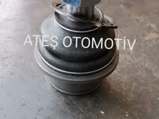 Kyron Rexton Üst Rotil