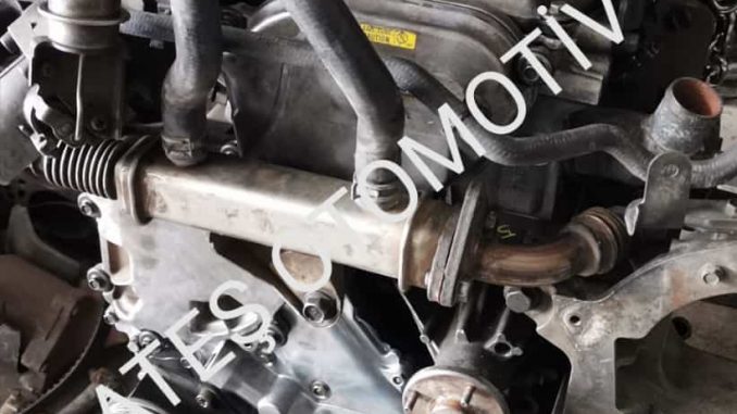 Nissan Navara Çıkma Komple Motor Nissan Navara Çıkma Komple Motor